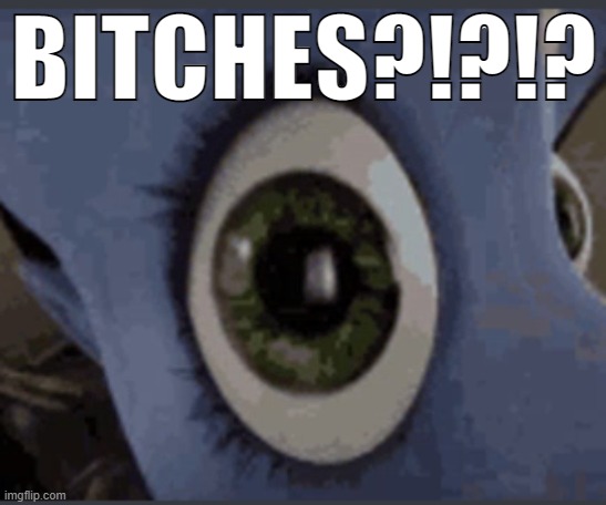BITCHES?!?!? | made w/ Imgflip meme maker