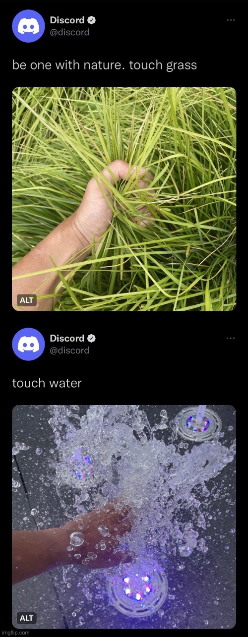 Discord - be one with nature. touch grass
