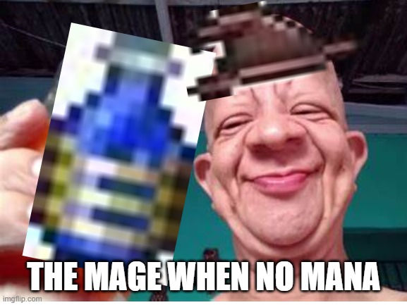 Stupid potion sickness | THE MAGE WHEN NO MANA | image tagged in terraria | made w/ Imgflip meme maker