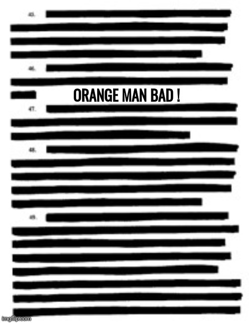 Redacted | ORANGE MAN BAD ! | image tagged in redacted | made w/ Imgflip meme maker