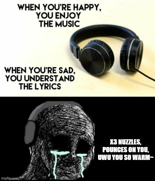 sad lyrics | X3 NUZZLES, POUNCES ON YOU, UWU YOU SO WARM~ | image tagged in sad lyrics | made w/ Imgflip meme maker