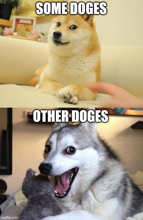 Doges | SOME DOGES; OTHER DOGES | image tagged in memes,doge 2,funny dogs | made w/ Imgflip meme maker