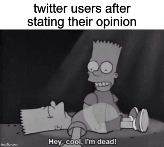 Hey, cool, I'm dead! | twitter users after stating their opinion | image tagged in hey cool i'm dead,memes,twitter | made w/ Imgflip meme maker