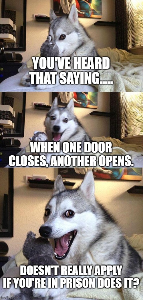 Bad Pun Dog | YOU'VE HEARD THAT SAYING..... WHEN ONE DOOR CLOSES, ANOTHER OPENS. DOESN'T REALLY APPLY IF YOU'RE IN PRISON DOES IT? | image tagged in memes,bad pun dog | made w/ Imgflip meme maker