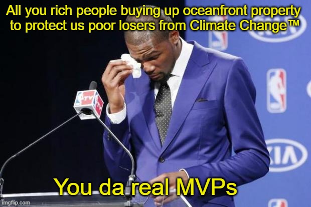 I live in a mansion...because I care | All you rich people buying up oceanfront property 
to protect us poor losers from Climate Change™; You da real MVPs | image tagged in memes,you the real mvp 2 | made w/ Imgflip meme maker