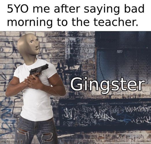 image tagged in middle school,gingster | made w/ Imgflip meme maker