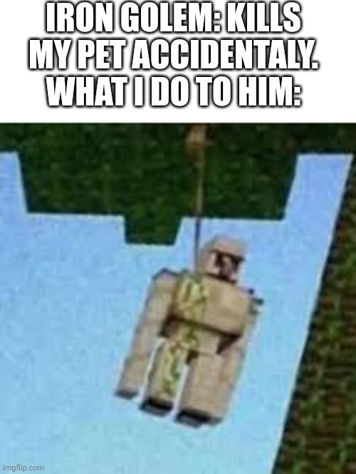 Hehehe | IRON GOLEM: KILLS MY PET ACCIDENTALY.
WHAT I DO TO HIM: | image tagged in iron golem hanging | made w/ Imgflip meme maker