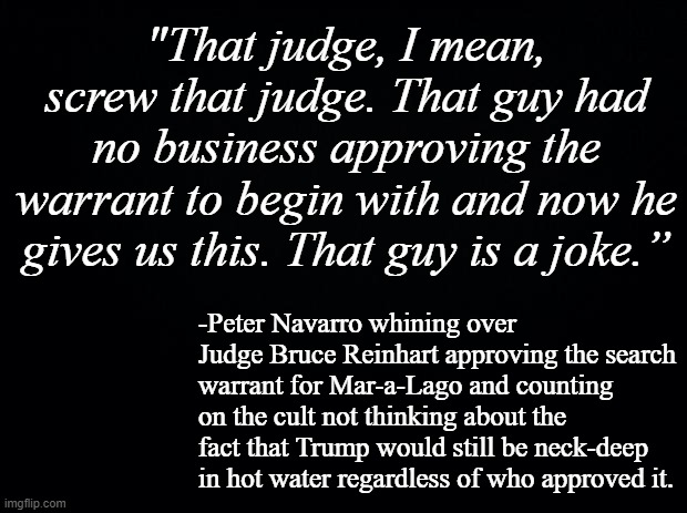 Looks like Pete's still riding a case of butthurt over being held accountable. | "That judge, I mean, screw that judge. That guy had no business approving the warrant to begin with and now he gives us this. That guy is a joke.”; -Peter Navarro whining over Judge Bruce Reinhart approving the search warrant for Mar-a-Lago and counting on the cult not thinking about the fact that Trump would still be neck-deep in hot water regardless of who approved it. | image tagged in black background | made w/ Imgflip meme maker