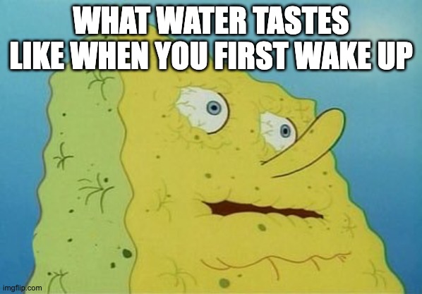 Dehydrated SpongeBob | WHAT WATER TASTES LIKE WHEN YOU FIRST WAKE UP | image tagged in dehydrated spongebob | made w/ Imgflip meme maker