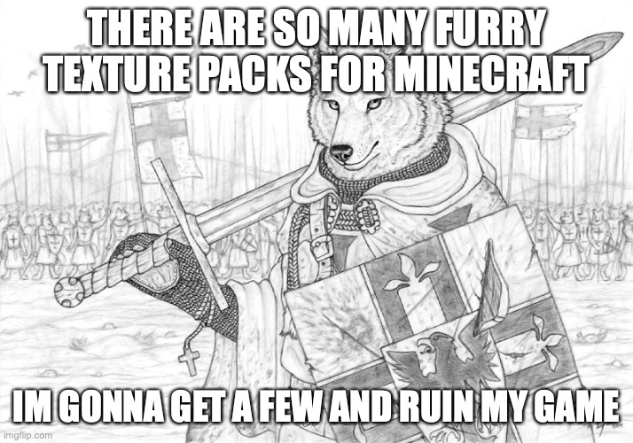 Fursader. | THERE ARE SO MANY FURRY TEXTURE PACKS FOR MINECRAFT; IM GONNA GET A FEW AND RUIN MY GAME | image tagged in fursader | made w/ Imgflip meme maker