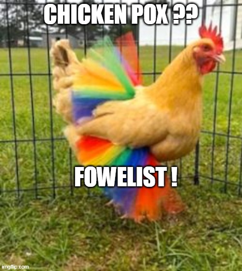 CHICKEN POX ?? FOWELIST ! | made w/ Imgflip meme maker