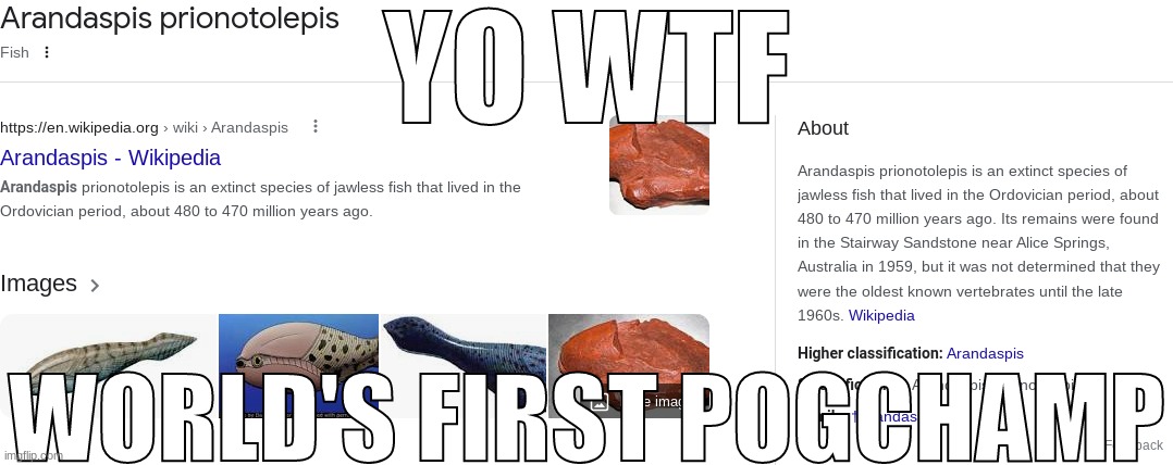 YO WTF WORLD'S FIRST POGCHAMP | image tagged in yo wtf world's first pogchamp | made w/ Imgflip meme maker