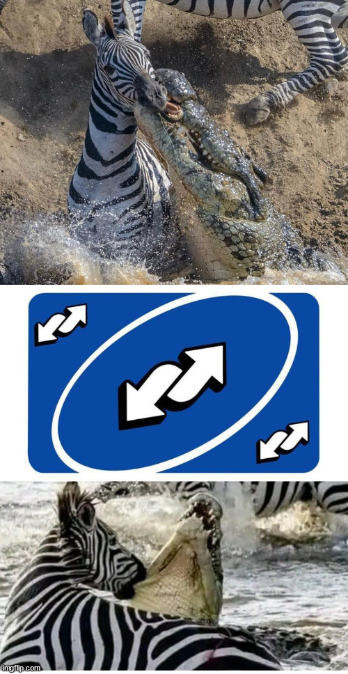 Reverse card well played | image tagged in zebra,crocodile,uno reverse card,well played | made w/ Imgflip meme maker