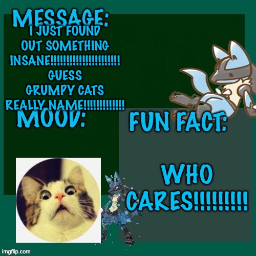 I JUST FOUND OUT SOMETHING INSANE!!!!!!!!!!!!!!!!!!!!!! GUESS GRUMPY CATS REALLY NAME!!!!!!!!!!!!! WHO CARES!!!!!!!!! | made w/ Imgflip meme maker
