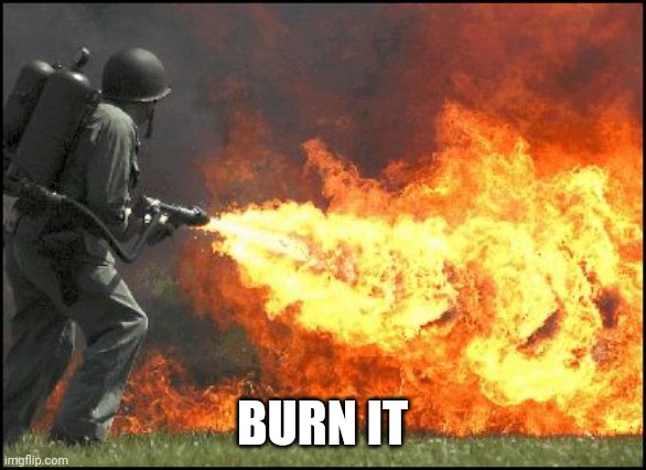 Kill it with fire | BURN IT | image tagged in kill it with fire | made w/ Imgflip meme maker