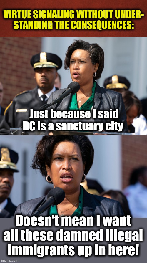 Cluelessness | VIRTUE SIGNALING WITHOUT UNDER-
STANDING THE CONSEQUENCES:; Just because I said DC is a sanctuary city; Doesn't mean I want
all these damned illegal
immigrants up in here! | image tagged in blank red background,memes,dc mayor muriel bowser,democrats,migrants,sanctuary cities | made w/ Imgflip meme maker