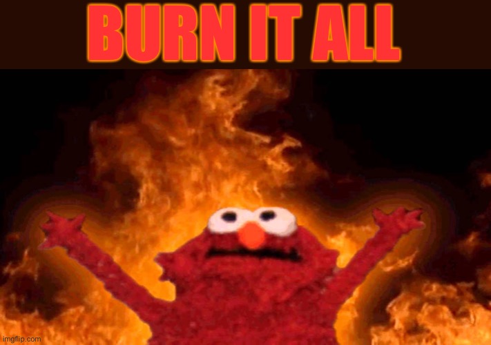 elmo fire | BURN IT ALL | image tagged in elmo fire | made w/ Imgflip meme maker