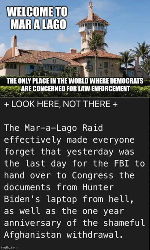 Please look the other way... it's what they want you to do... | image tagged in deep state | made w/ Imgflip meme maker