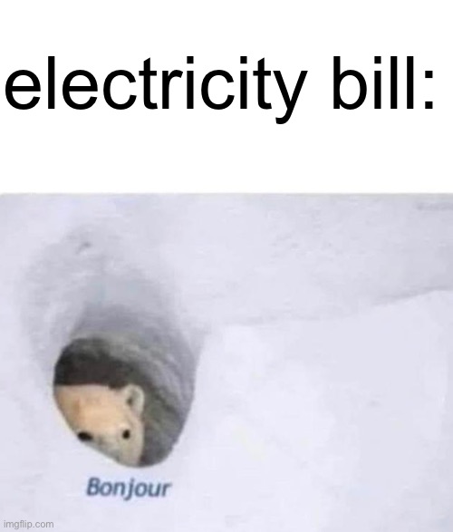 Bonjour | electricity bill: | image tagged in bonjour | made w/ Imgflip meme maker