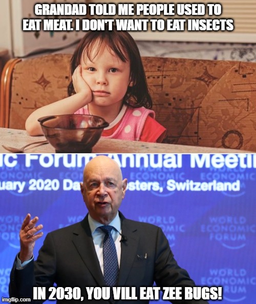 bugs | GRANDAD TOLD ME PEOPLE USED TO EAT MEAT. I DON'T WANT TO EAT INSECTS; IN 2030, YOU VILL EAT ZEE BUGS! | image tagged in klaus schwab,insects,wef | made w/ Imgflip meme maker