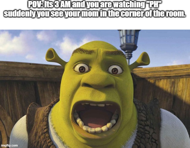 no its true | POV: Its 3 AM and you are watching "PH" suddenly you see your mom in the corner of the room. | image tagged in funny | made w/ Imgflip meme maker
