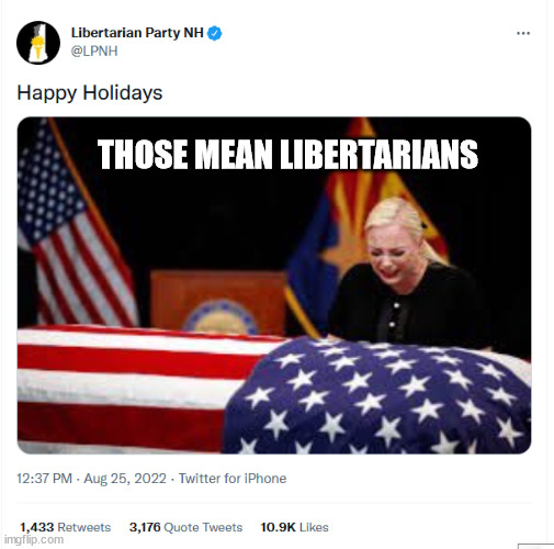 McCain got a holiday? | THOSE MEAN LIBERTARIANS | image tagged in john mccain | made w/ Imgflip meme maker
