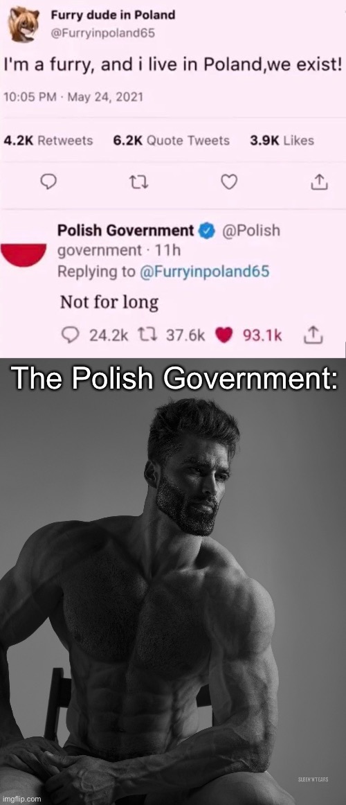 The Polish Government: | image tagged in giga chad | made w/ Imgflip meme maker