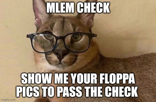 Floppa Professor | MLEM CHECK; SHOW ME YOUR FLOPPA PICS TO PASS THE CHECK | image tagged in floppa professor | made w/ Imgflip meme maker