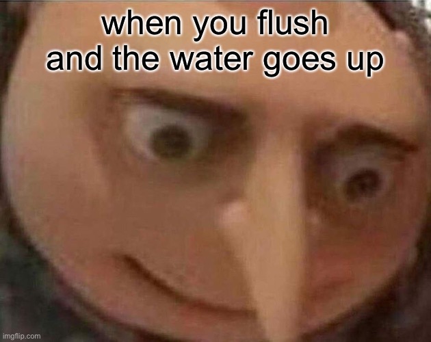 thats my actual reaction | when you flush and the water goes up | image tagged in gru meme | made w/ Imgflip meme maker