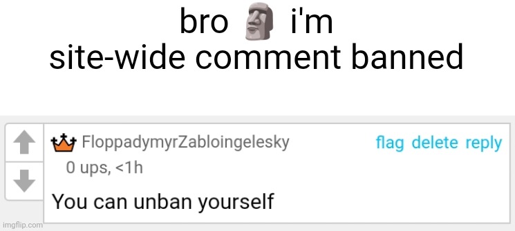 bro 🗿 i'm site-wide comment banned | made w/ Imgflip meme maker