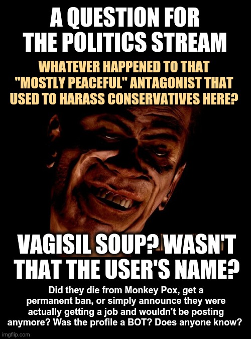 Vagisil Soup, where are you? | A QUESTION FOR THE POLITICS STREAM; WHATEVER HAPPENED TO THAT "MOSTLY PEACEFUL" ANTAGONIST THAT USED TO HARASS CONSERVATIVES HERE? VAGISIL SOUP? WASN'T THAT THE USER'S NAME? Did they die from Monkey Pox, get a permanent ban, or simply announce they were actually getting a job and wouldn't be posting anymore? Was the profile a BOT? Does anyone know? | image tagged in blank black square template,troll | made w/ Imgflip meme maker