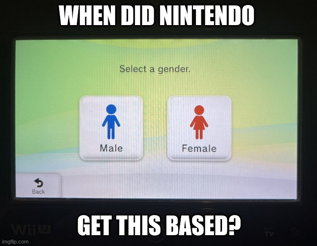 There are 2 genders confirmed | WHEN DID NINTENDO; GET THIS BASED? | made w/ Imgflip meme maker