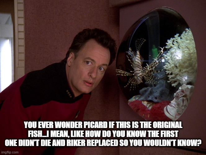 Dead Fish | YOU EVER WONDER PICARD IF THIS IS THE ORIGINAL FISH...I MEAN, LIKE HOW DO YOU KNOW THE FIRST ONE DIDN'T DIE AND RIKER REPLACED SO YOU WOULDN'T KNOW? | image tagged in star trek q | made w/ Imgflip meme maker