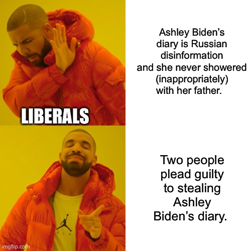 Ashley Biden | Ashley Biden’s diary is Russian disinformation and she never showered (inappropriately) with her father. LIBERALS; Two people plead guilty to stealing Ashley Biden’s diary. | image tagged in memes,drake hotline bling | made w/ Imgflip meme maker