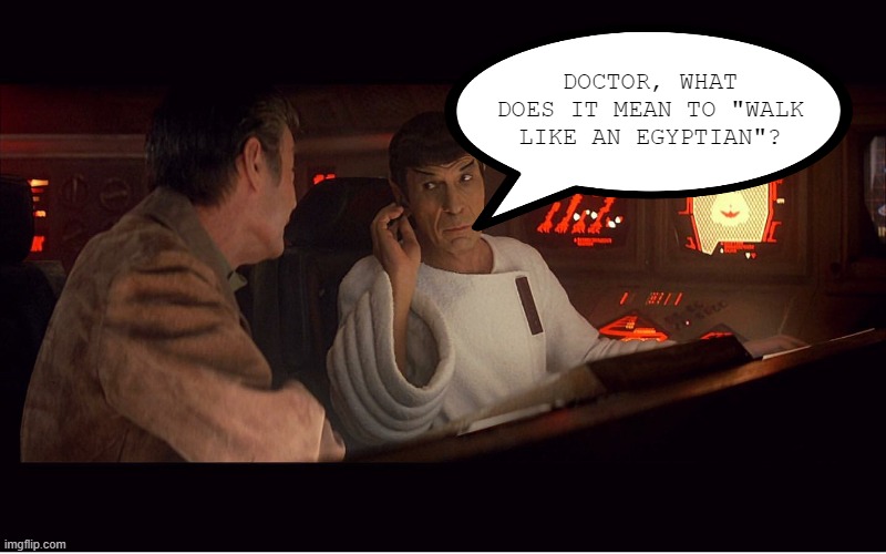 It Was 1986 After All |  DOCTOR, WHAT DOES IT MEAN TO "WALK LIKE AN EGYPTIAN"? | image tagged in star trek spock mccoy | made w/ Imgflip meme maker