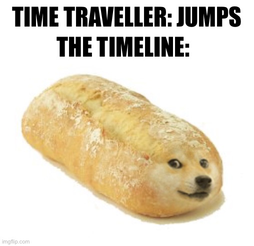 DOGE DOGE DOGE DOGE DOGE | TIME TRAVELLER: JUMPS; THE TIMELINE: | image tagged in breb doge,doge | made w/ Imgflip meme maker