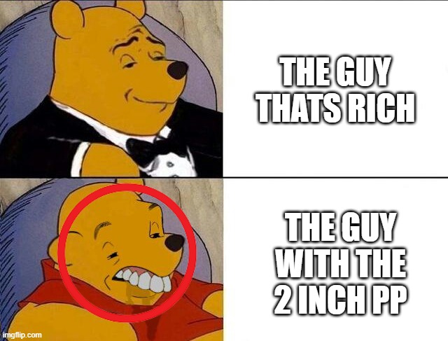 Tuxedo Winnie the Pooh grossed reverse | THE GUY THATS RICH; THE GUY WITH THE 2 INCH PP | image tagged in tuxedo winnie the pooh grossed reverse | made w/ Imgflip meme maker