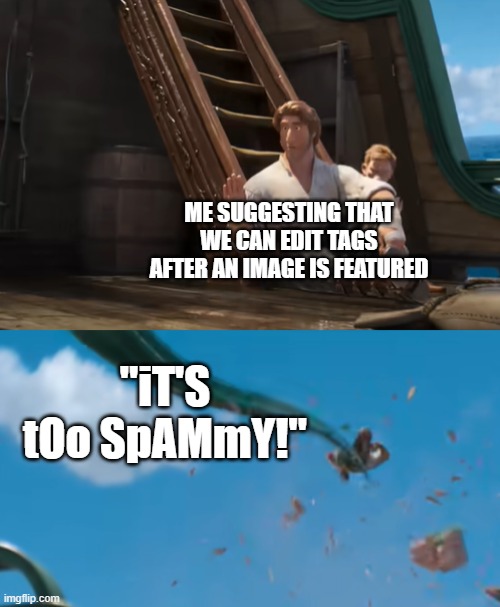 How is editing tags spam?!?!? | ME SUGGESTING THAT WE CAN EDIT TAGS AFTER AN IMAGE IS FEATURED; "iT'S tOo SpAMmY!" | image tagged in jacob holland gets yeeted,tags,edit | made w/ Imgflip meme maker