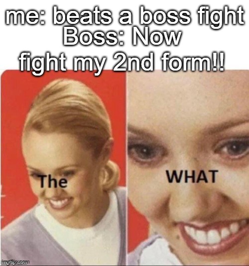 The what? | me: beats a boss fight; Boss: Now fight my 2nd form!! | image tagged in the what,gaming | made w/ Imgflip meme maker