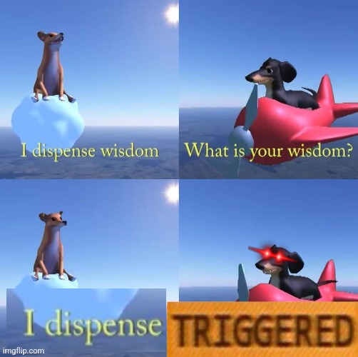 Wisdom dog | image tagged in wisdom dog | made w/ Imgflip meme maker