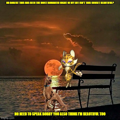 scooby's romantic evening | OH ROBERT THIS HAS BEEN THE MOST ROMANTIC NIGHT OF MY LIFE ISN'T THIS SUNSET BEAUTIFUL? NO NEED TO SPEAK BOBBY YOU ALSO THINK I'M BEAUTIFUL TOO | image tagged in romantic sunset,scooby doo,kirby,cats,dogs,romance | made w/ Imgflip meme maker