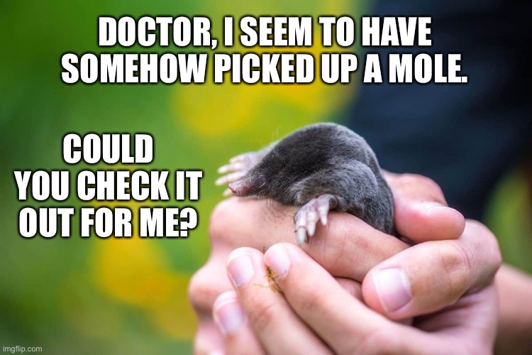 Mole | DOCTOR, I SEEM TO HAVE SOMEHOW PICKED UP A MOLE. COULD YOU CHECK IT OUT FOR ME? | image tagged in bad pun | made w/ Imgflip meme maker