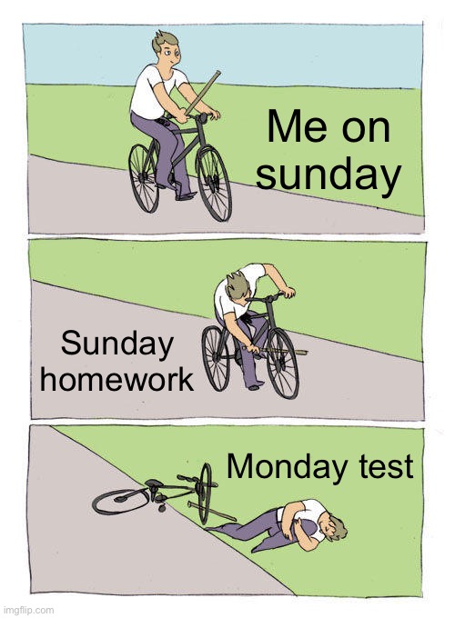 Monday | Me on sunday; Sunday homework; Monday test | image tagged in memes,bike fall | made w/ Imgflip meme maker