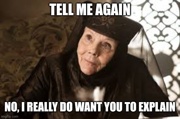 Olenna Game of Thrones | TELL ME AGAIN; NO, I REALLY DO WANT YOU TO EXPLAIN | image tagged in olenna game of thrones | made w/ Imgflip meme maker