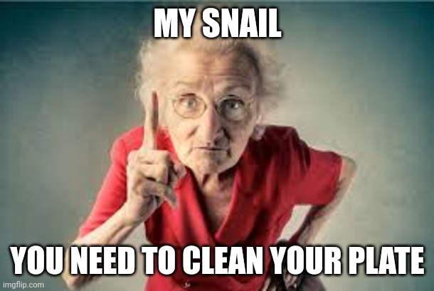 Listen to me | MY SNAIL YOU NEED TO CLEAN YOUR PLATE | image tagged in listen to me | made w/ Imgflip meme maker