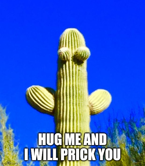 Huggy Cactus  | HUG ME AND I WILL PRICK YOU | image tagged in huggy cactus | made w/ Imgflip meme maker