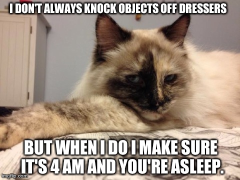 I DON'T ALWAYS KNOCK OBJECTS OFF DRESSERS BUT WHEN I DO I MAKE SURE IT'S 4 AM AND YOU'RE ASLEEP. | image tagged in funny,cats | made w/ Imgflip meme maker