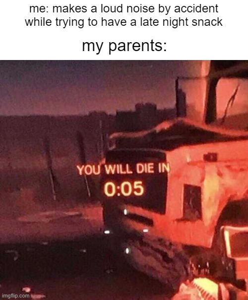 You will die in 0:05 | me: makes a loud noise by accident while trying to have a late night snack; my parents: | image tagged in you will die in 0 05 | made w/ Imgflip meme maker
