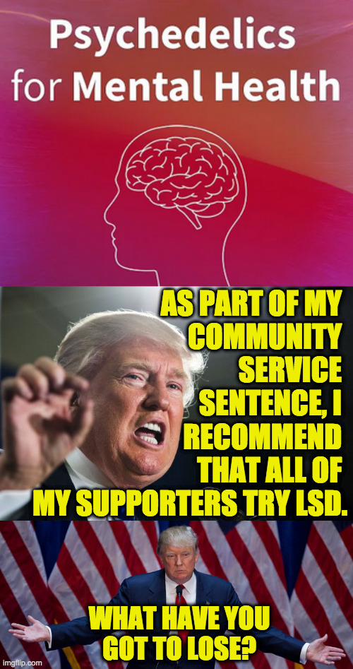 This could be the solution. | AS PART OF MY 
COMMUNITY 
SERVICE 
SENTENCE, I 
RECOMMEND 
THAT ALL OF 
MY SUPPORTERS TRY LSD. WHAT HAVE YOU
GOT TO LOSE? | image tagged in donald trump,memes,lsd,mental health | made w/ Imgflip meme maker