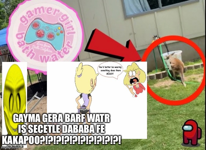 GAYMA GER IS DABABEE FE CACAPOO | GAYMA GERA BARF WATR IS SECETLE DABABA FE KAKAPOO?!?!?!?!?!?!?!?!?!?! | image tagged in urban rescue ranch,gamer girl bath water,dababy | made w/ Imgflip meme maker
